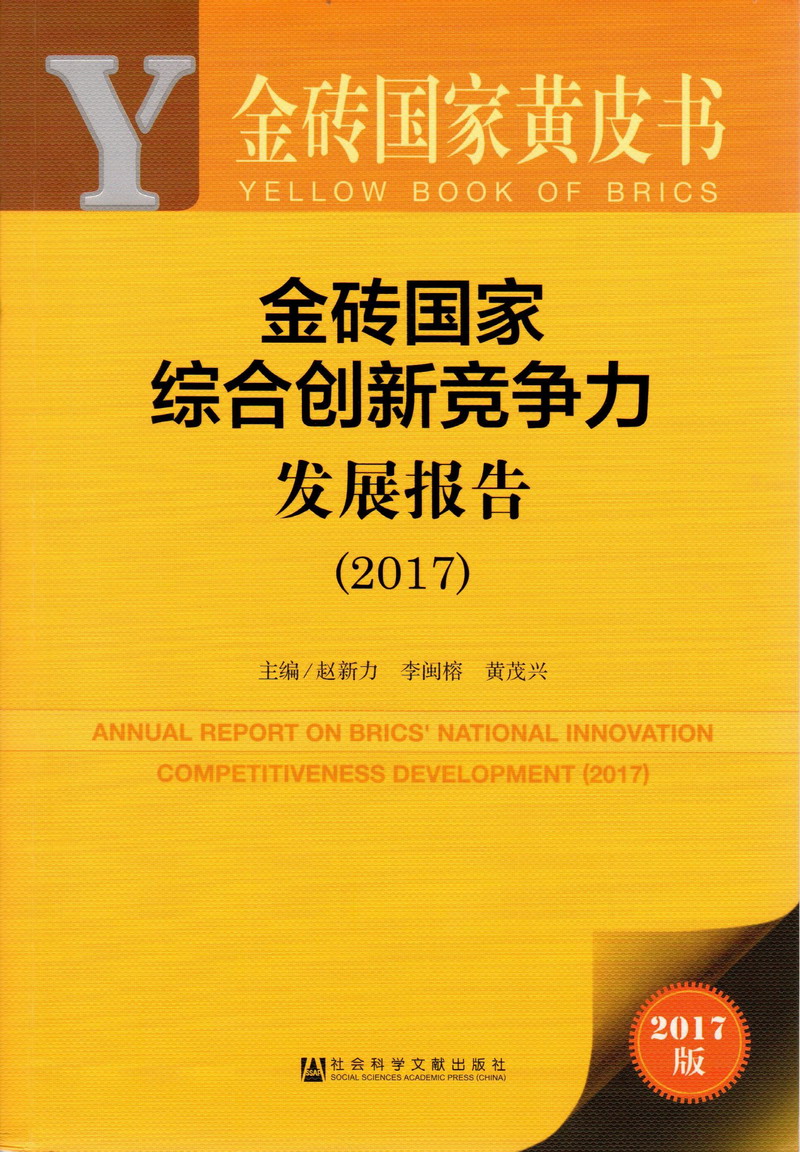 骚逼被日的受不了了啊啊啊视频金砖国家综合创新竞争力发展报告（2017）